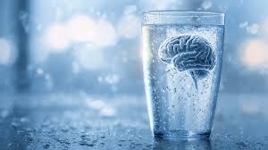 The Thirsty Brain: How Fluid Intake Controls Mental Sharpness